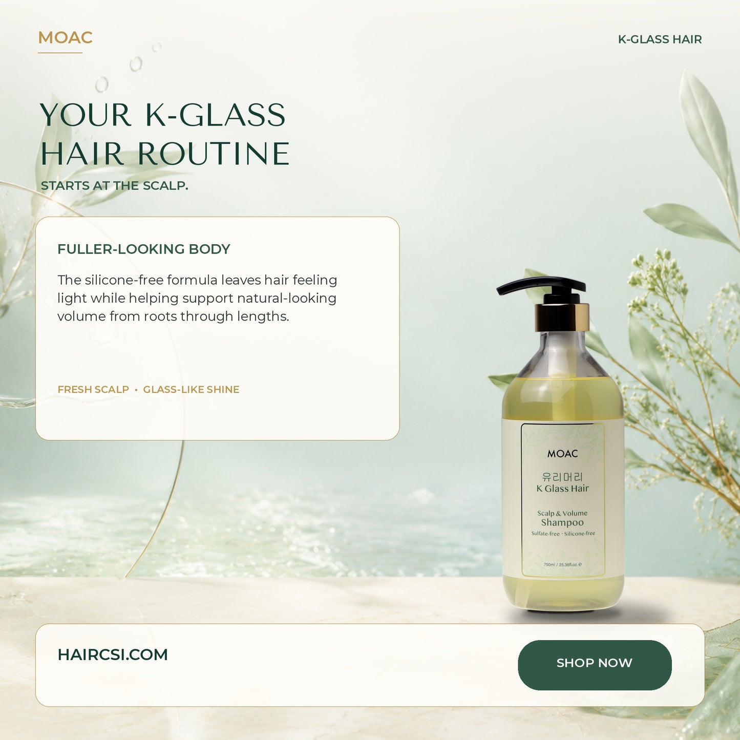 MOAC K-Glass Hair Scalp & Volume Shampoo